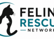Feline Rescue Network - Colorado Springs, Pikes Peak Region