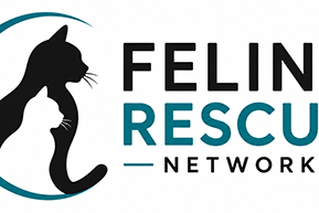 Feline Rescue Network - Colorado Springs, Pikes Peak Region