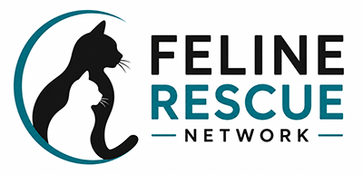 Feline Rescue Network - Colorado Springs, Pikes Peak Region