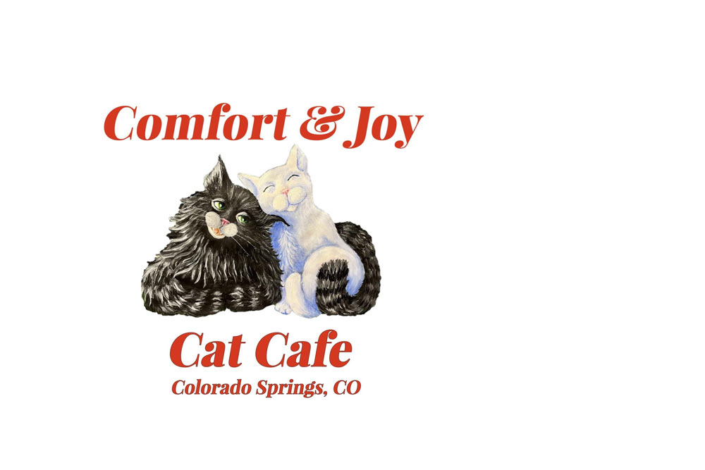 Comfort and Joy Cat Cafe