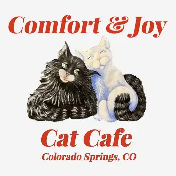 Feline Rescue Network - Comfort & Joy Cat Cafe